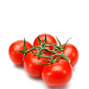 Strauchtomaten 500g