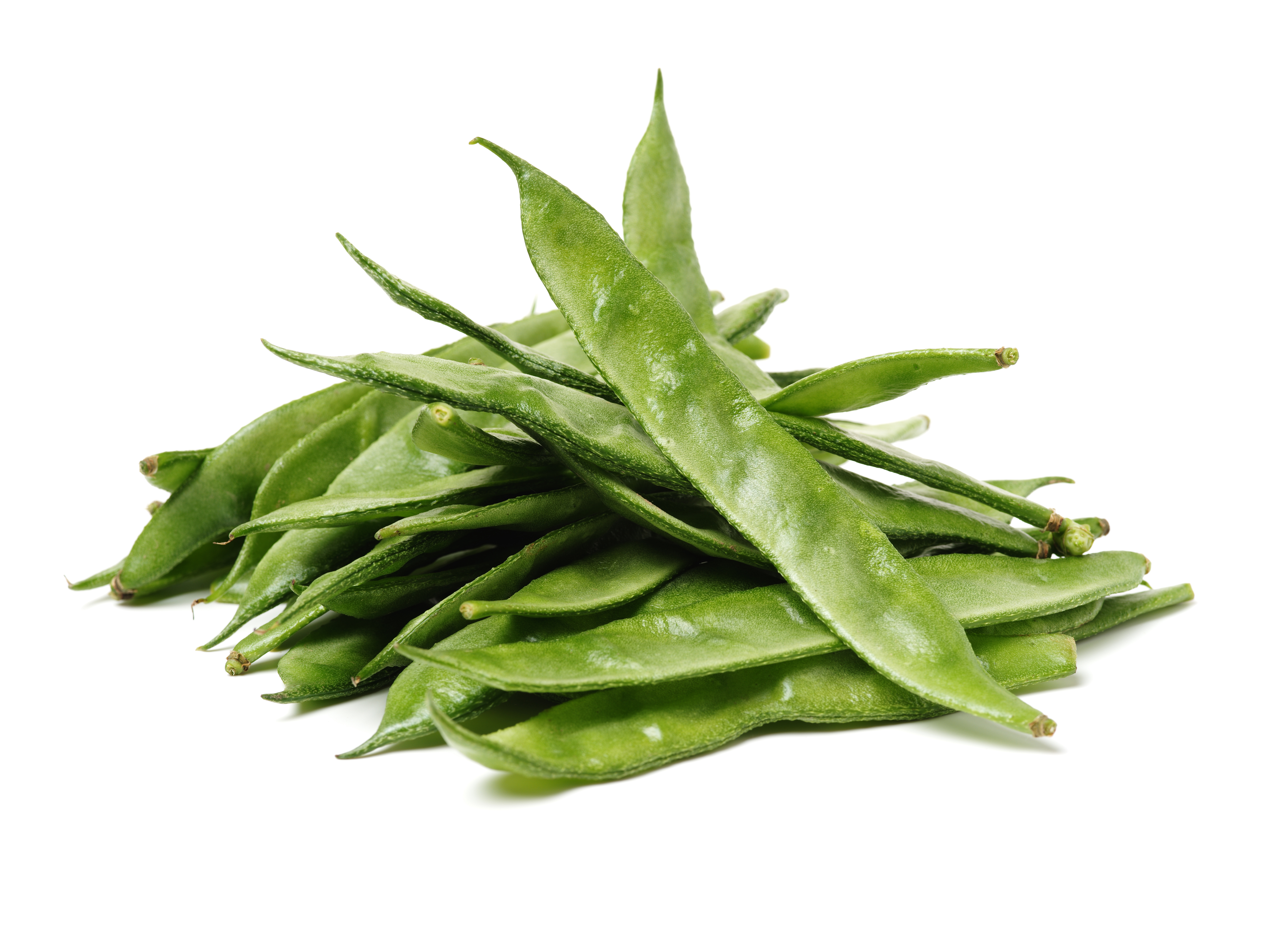 Flachbohnen 400g Pack.