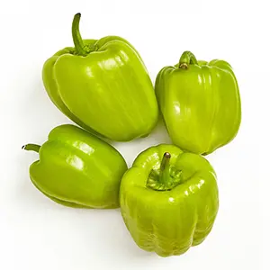 Dolma Biber - türk. Paprika 400g