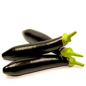 Aubergine lang 400g Tüte