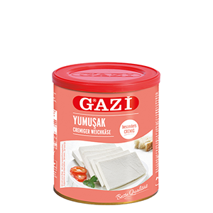 Gazi cremiger Weichkäse 55% 500g
